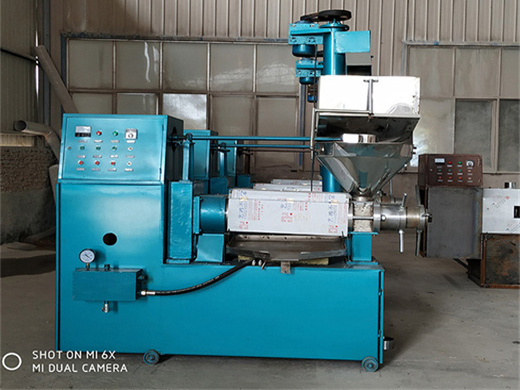 the best cooking oil press for your health price in south african